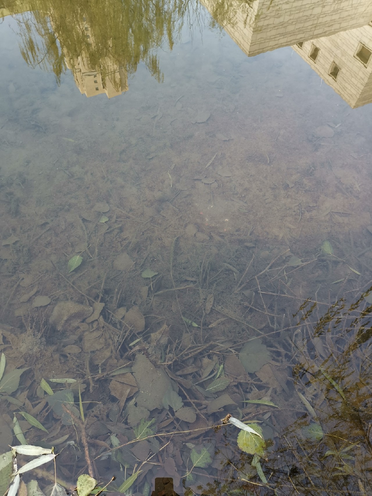 钓鱼十大注意事项,钓鱼需要注意的21要点