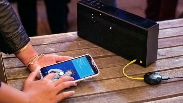 2017被杀害的人,2019年被杀死的动物有多少