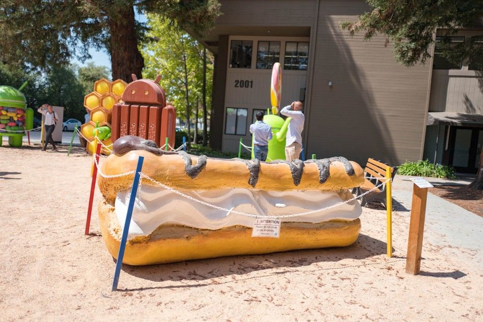 2017被杀害的人,2019年被杀死的动物有多少