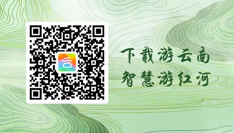 石屏龙韵养生谷干巴菌,云南石屏龙朋干巴菌节