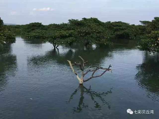 七彩贝丘湾海滩,七彩贝丘湾攻略