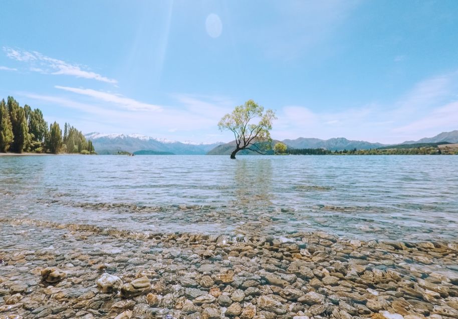 为啥不建议用湿巾,为什么不建议用湿巾