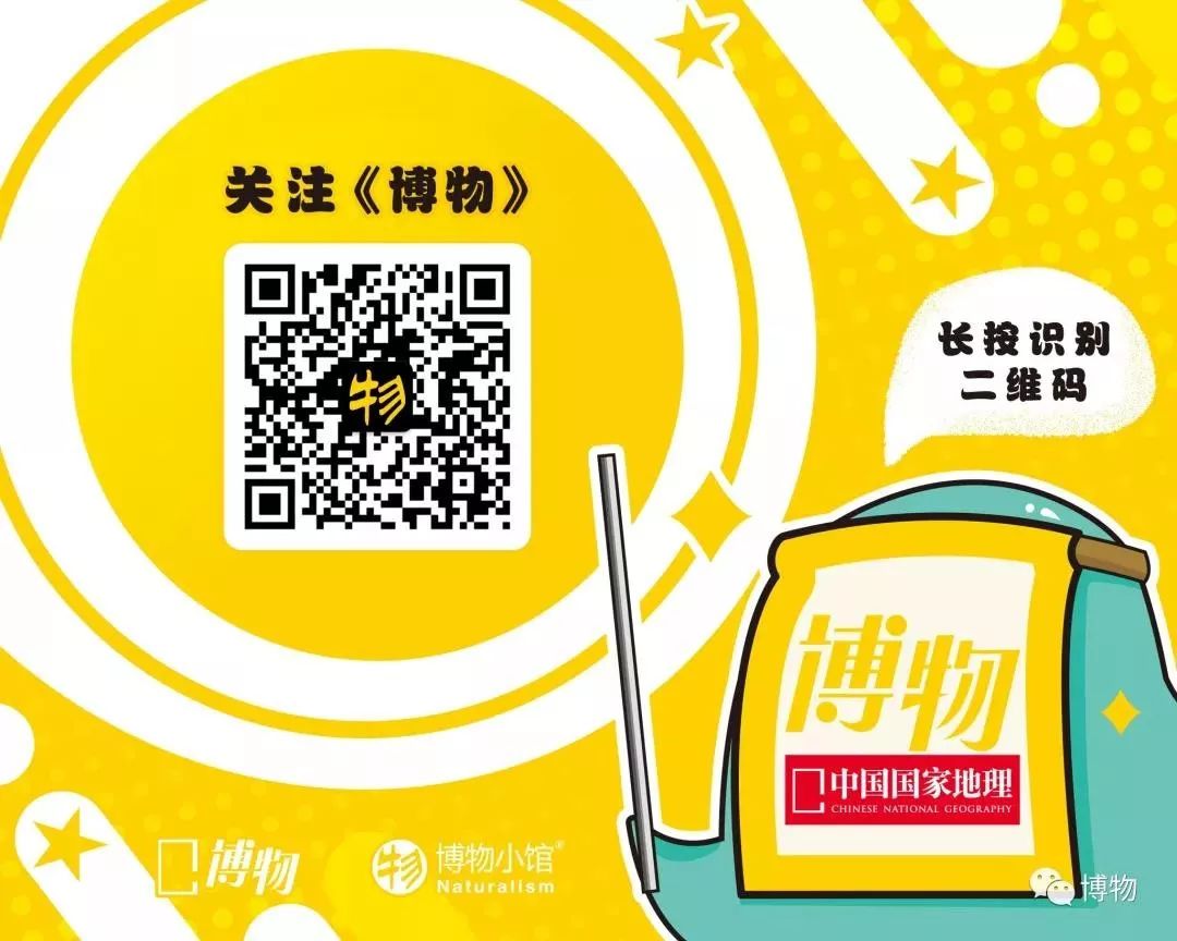 聊天没话题好不好,天天跟女朋友聊天没话题怎么办