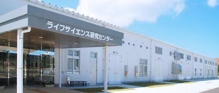 能量低饱腹感强的饼干有哪些,小黑熊燃脂饼干