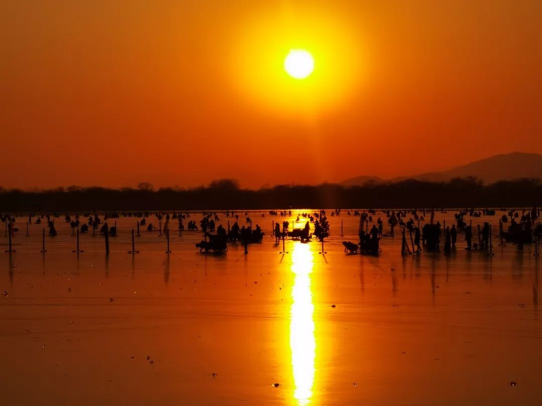 2024年颐和园冰场开了吗,颐和园冰场8号开放吗