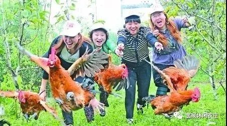 柳城周边游玩景点推荐,柳北旅游推荐