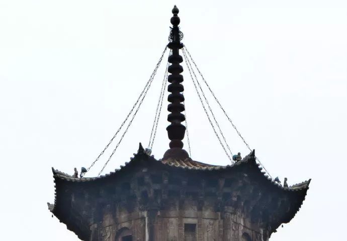 表白这些属鼠的泉州人