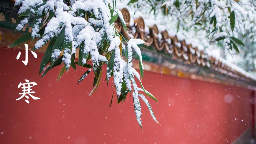 小寒英文简短介绍,小寒用英文怎么翻译