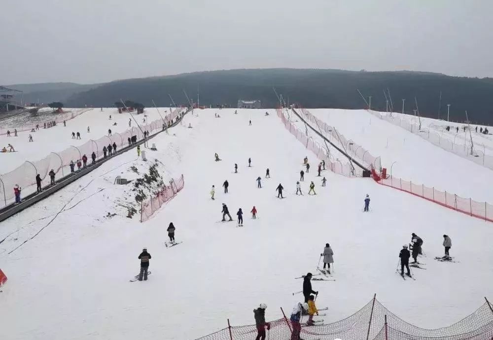 洛阳旅游年票一日游路线规划,洛阳旅游有优惠活动吗