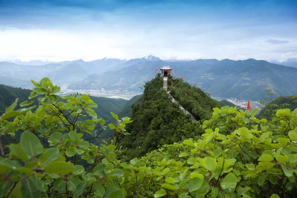 黄龙观村有眼光!以前靠山吃山,现在养山富山