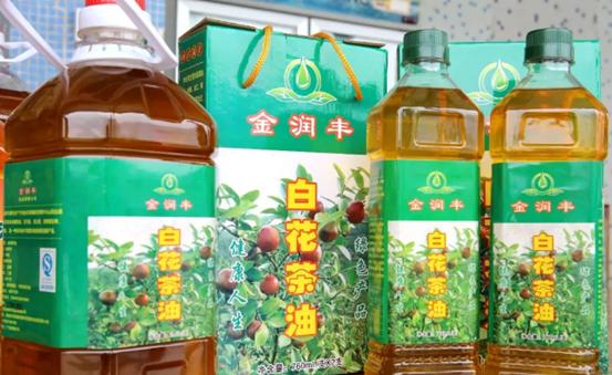 四会石狗兰花基地,四会石狗兰花基地有哪些