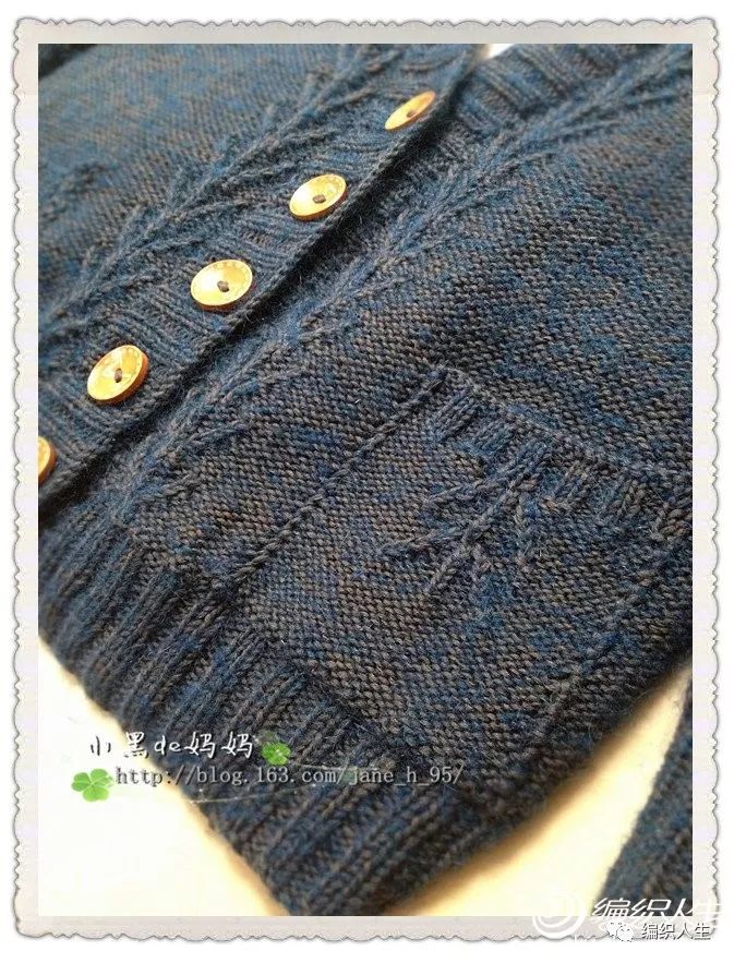 金枝玉叶刺绣开衫,棒针叶子花样v领开衫