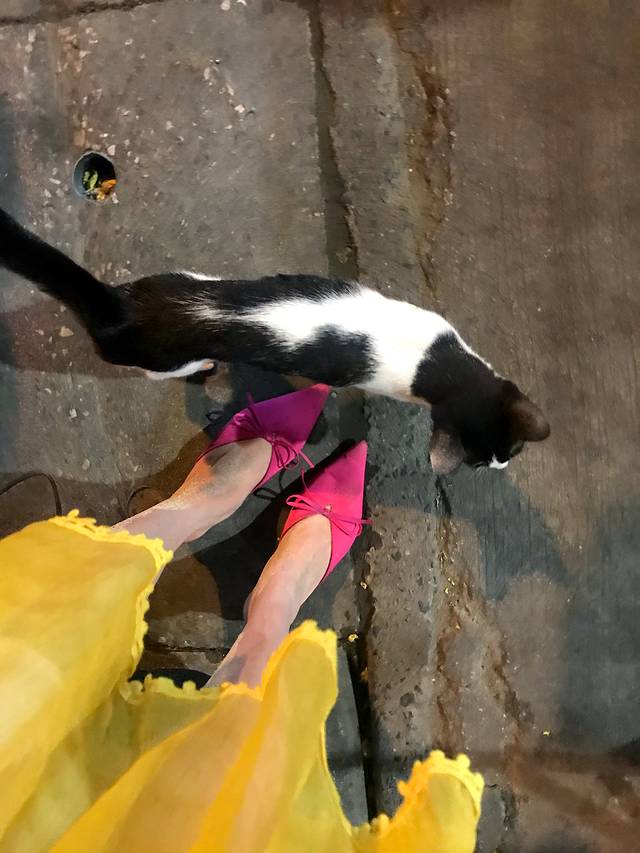 乐此不疲日常版,普吉岛五天四晚自由行