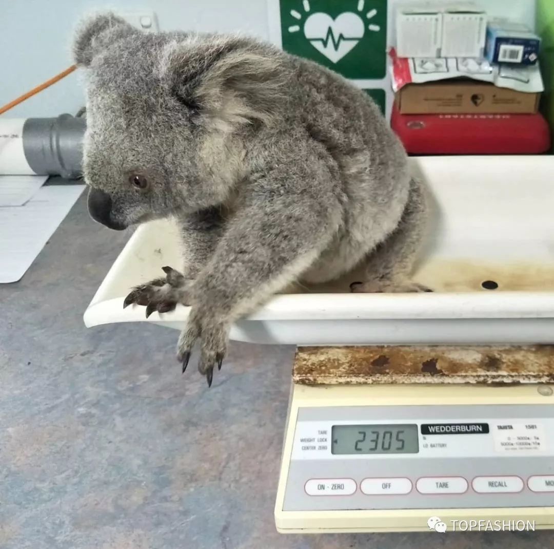 guccibalenciaga联名溢价,赔偿奢侈品包包