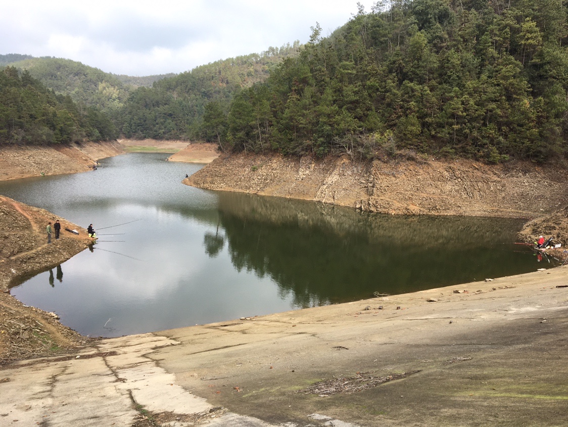 夏季小杂鱼闹窝怎么钓大板鲫,冬钓大板鲫如何避开小鱼