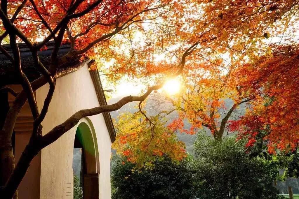 ¥499/2晚--春节不加价！游西湖赏雪踏梅！住洲际旗下高品质酒店，包双人自助早餐