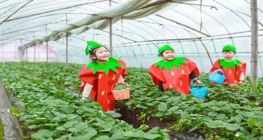 奉化旅游散客游线路,奉化的旅游线路推荐