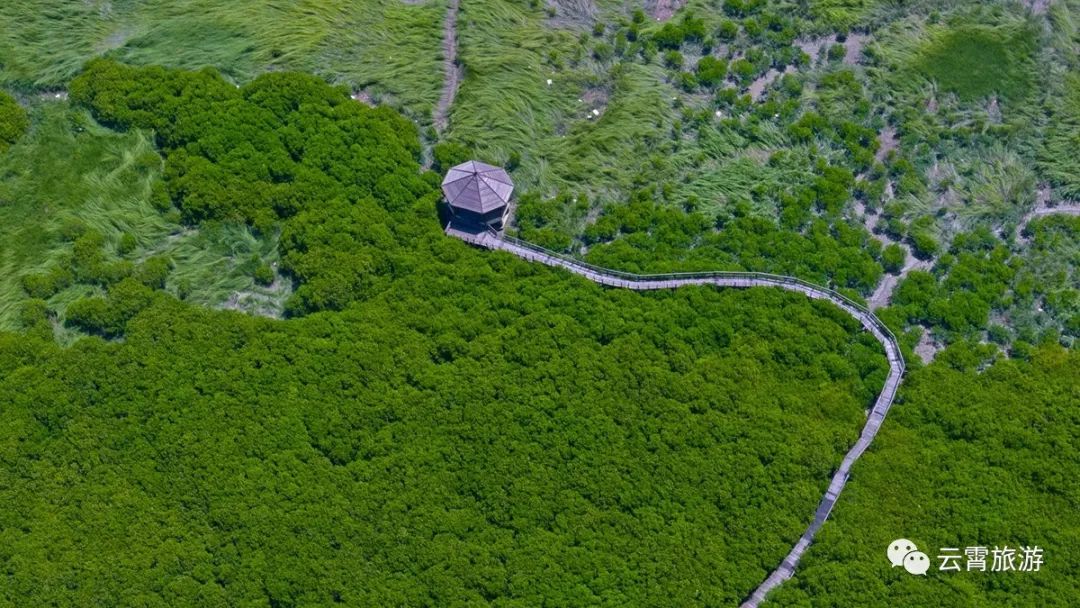 吃喝玩乐云霄,云霄吃喝玩乐一日攻略