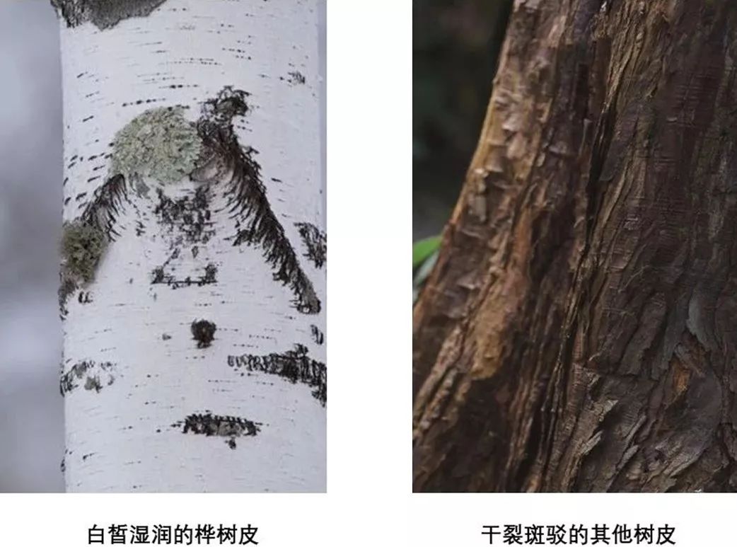 过年不知道该送爸妈什么,过年送礼送父母什么比较合适