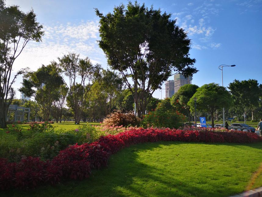 广州海珠区免费公园推荐,海珠区最近的公园