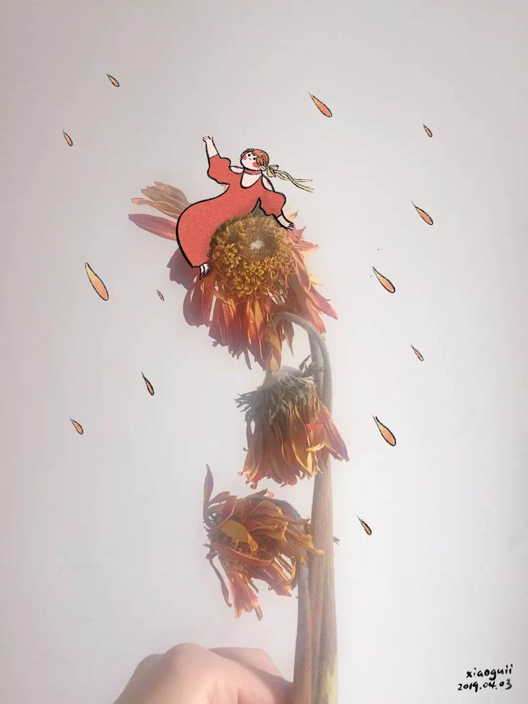 「乐趣日常」板绘PS+GIF制作10节课报名啦！用插画记录你的生活叭