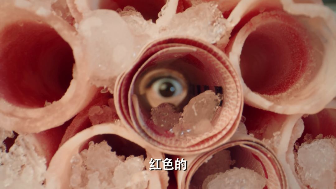 爱情公寓5是烂片吗,爱情公寓5为什么烂片