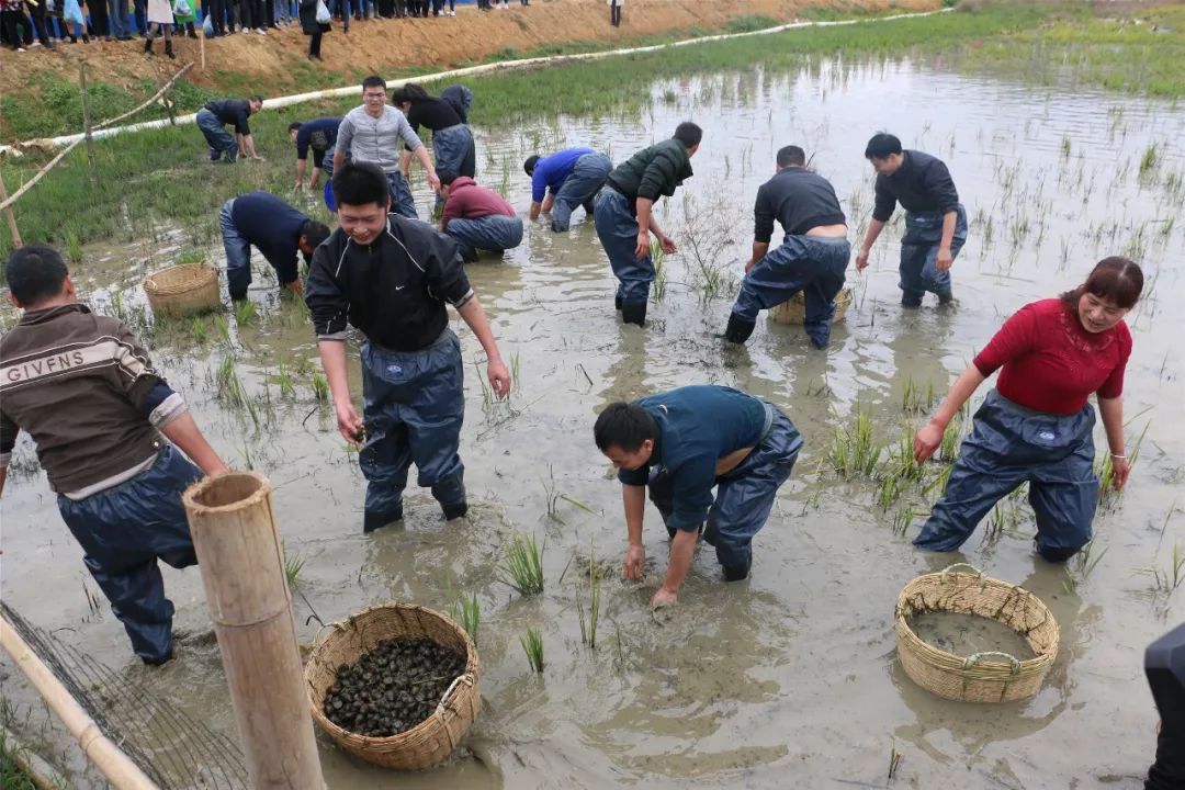 2021柳州市政府工作计划,柳州市2020年政府工作报告