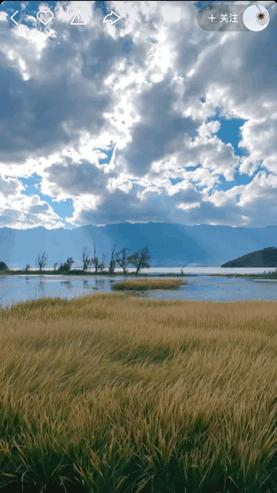 本来想去薅羊毛,却沉迷在这张“活的”地图上……