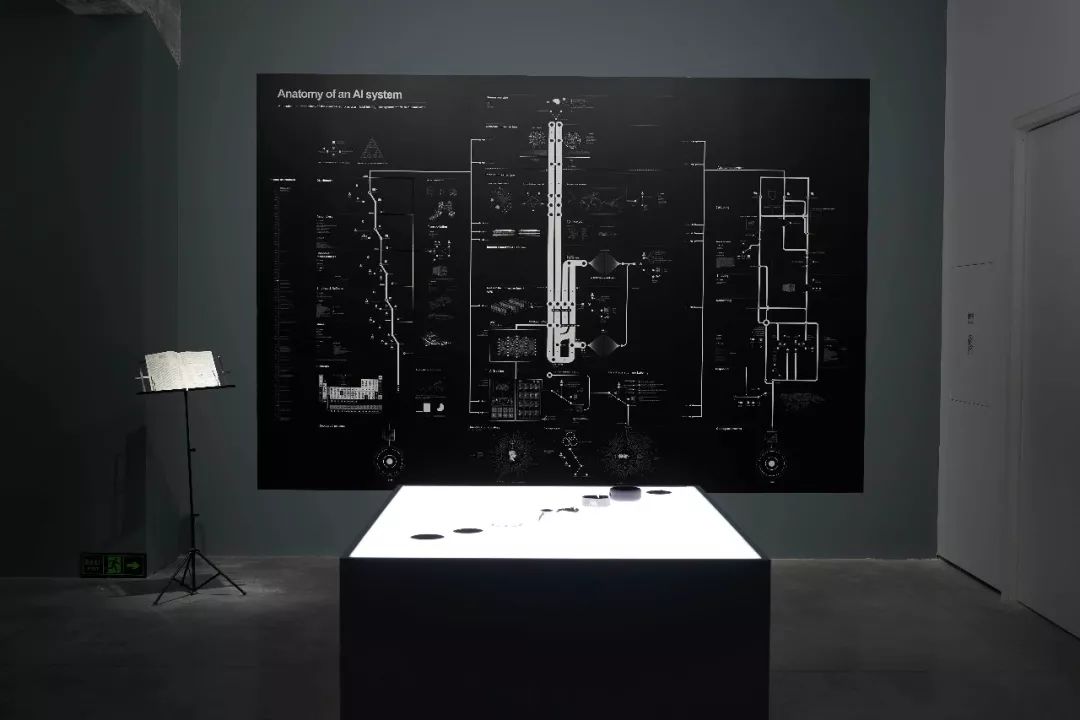 人工智能和人体解剖学的区别,机器人人工智能解决问题