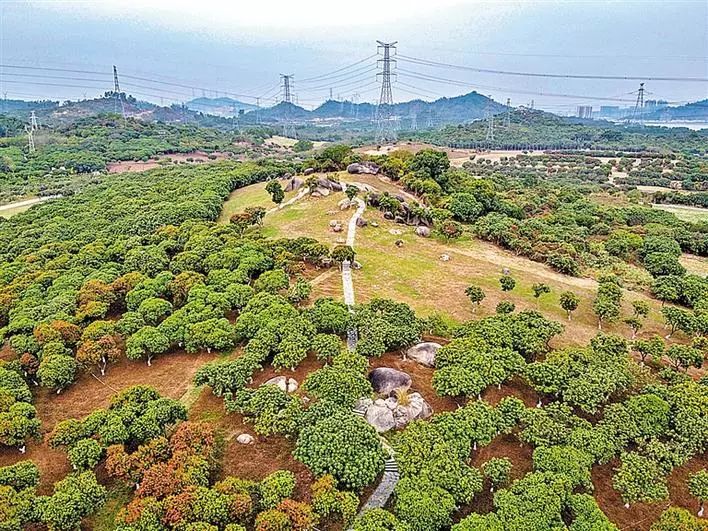 深圳市最新步道,深圳十佳绿道