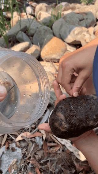 没有作业的澳洲暑假怎么熬？