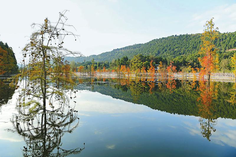 三大行动,三大行动方案