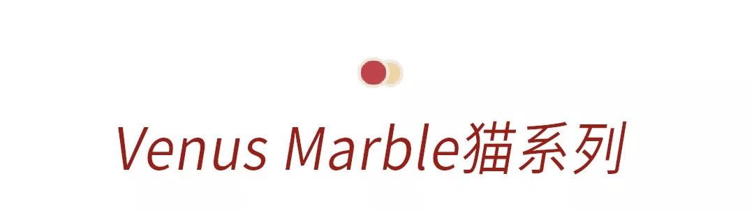 新出的绿色3ce眼影盘画法教程,3ce眼影的正确画法4宫格