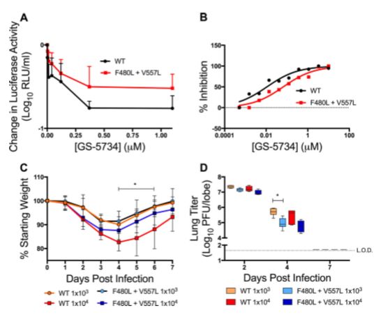 remdesivir的抗病毒药物,remdesivir药名是什么