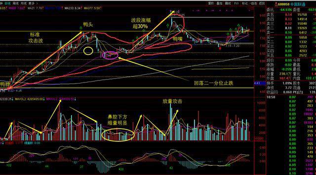 清华女博士爆看阴线买入,清华女博士说股票