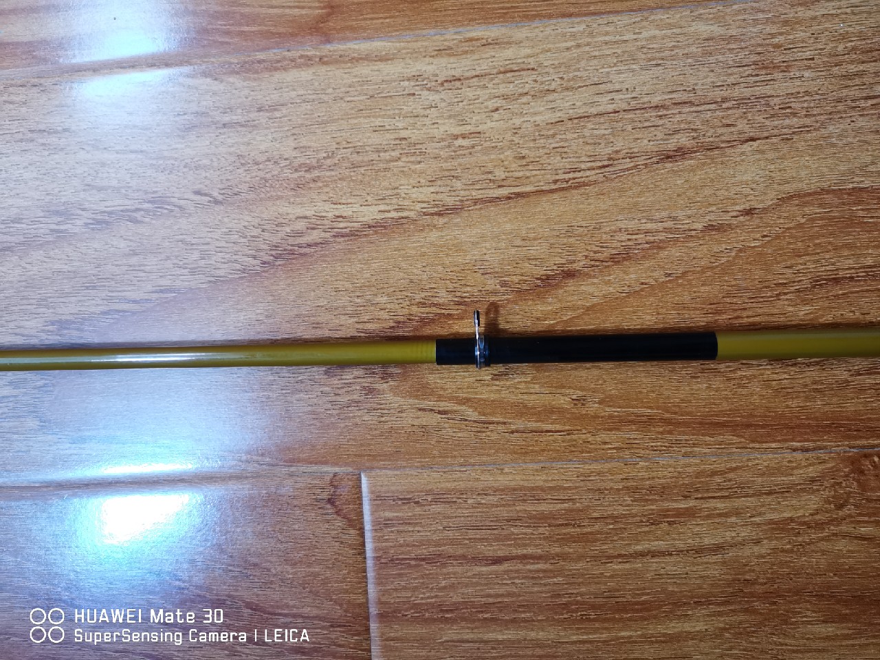 疫情期间勿外出钓鱼,疫情期间钓鱼不能出门怎么办