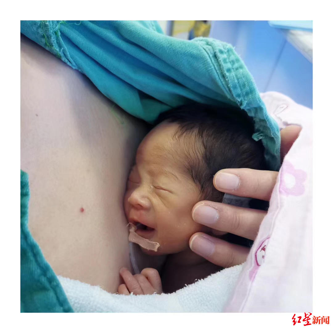 袋鼠抱婴儿原视频,袋鼠抱早产儿要多和宝宝说话