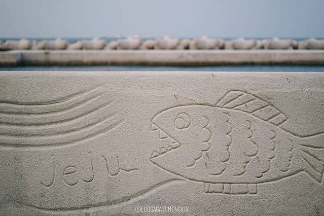济州岛旅行遇到下雨,日记三年级海边游玩