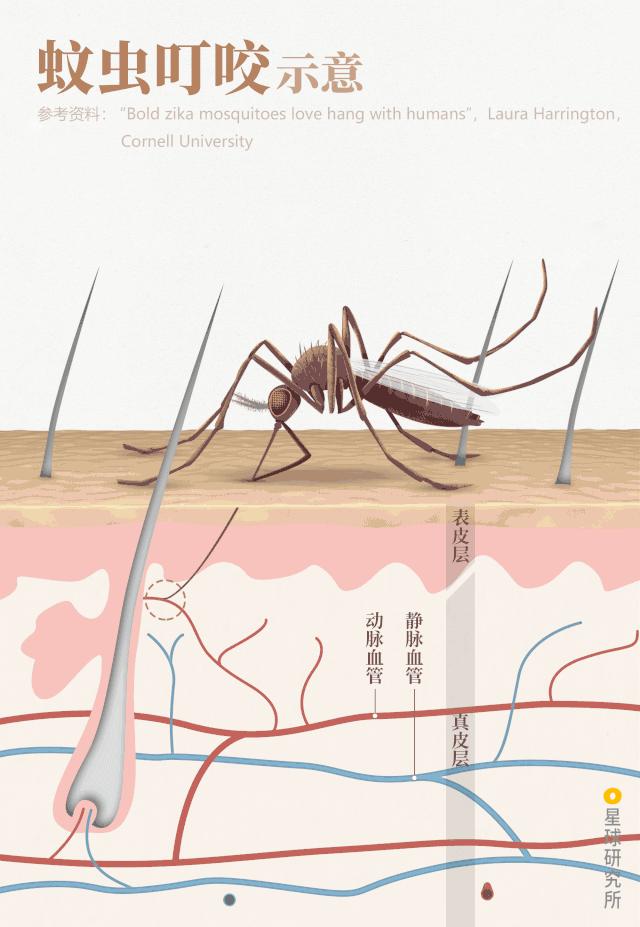 鍋囧鐥呮瘨鎰熸煋浜嗕綘,鍋囧鐥呮瘨鎰熸煋浜嗘垜