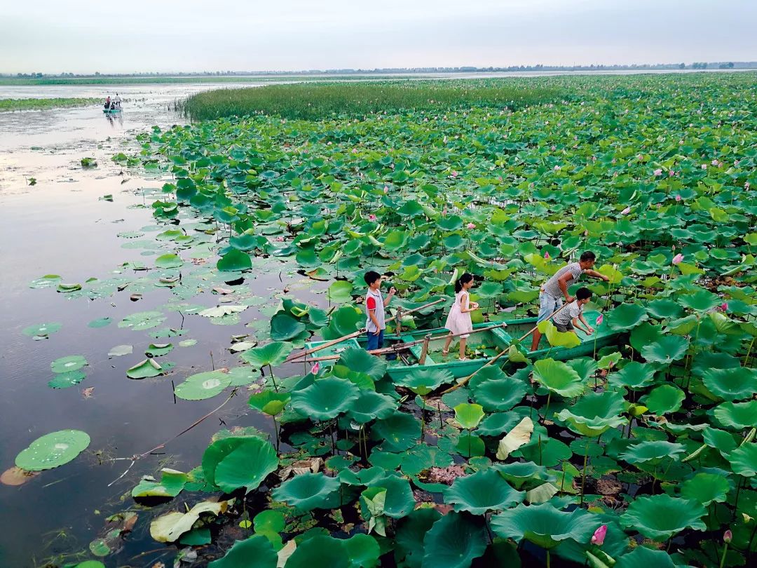湖北不是只有武汉,湖北哪里跟武汉最近
