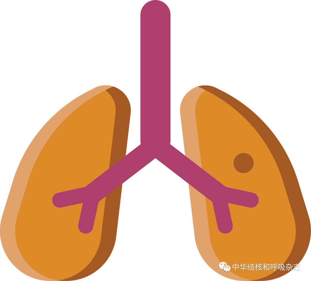 罗氟司特软膏治疗什么病,罗氟司特是治什么的