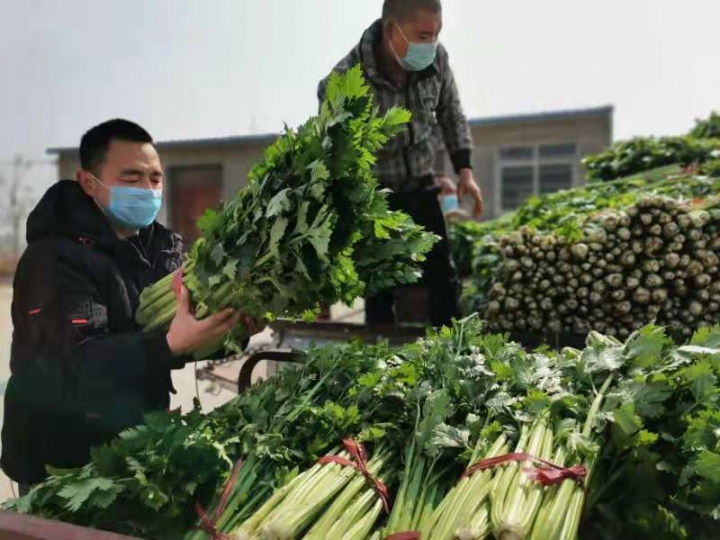 山村党员代购员有哪些,原农村的代购代销员