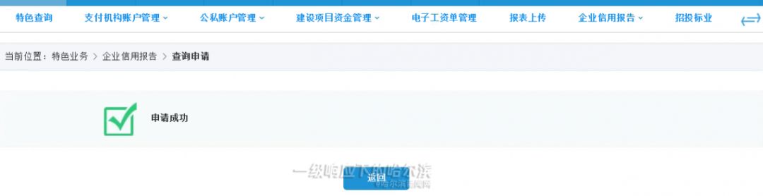 企业信用报告线上能查询打印吗,企业网上查询个人征信