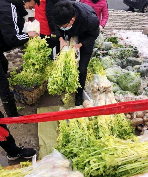 村干部帮大棚户卖蔬菜,乡村干部帮村民代购