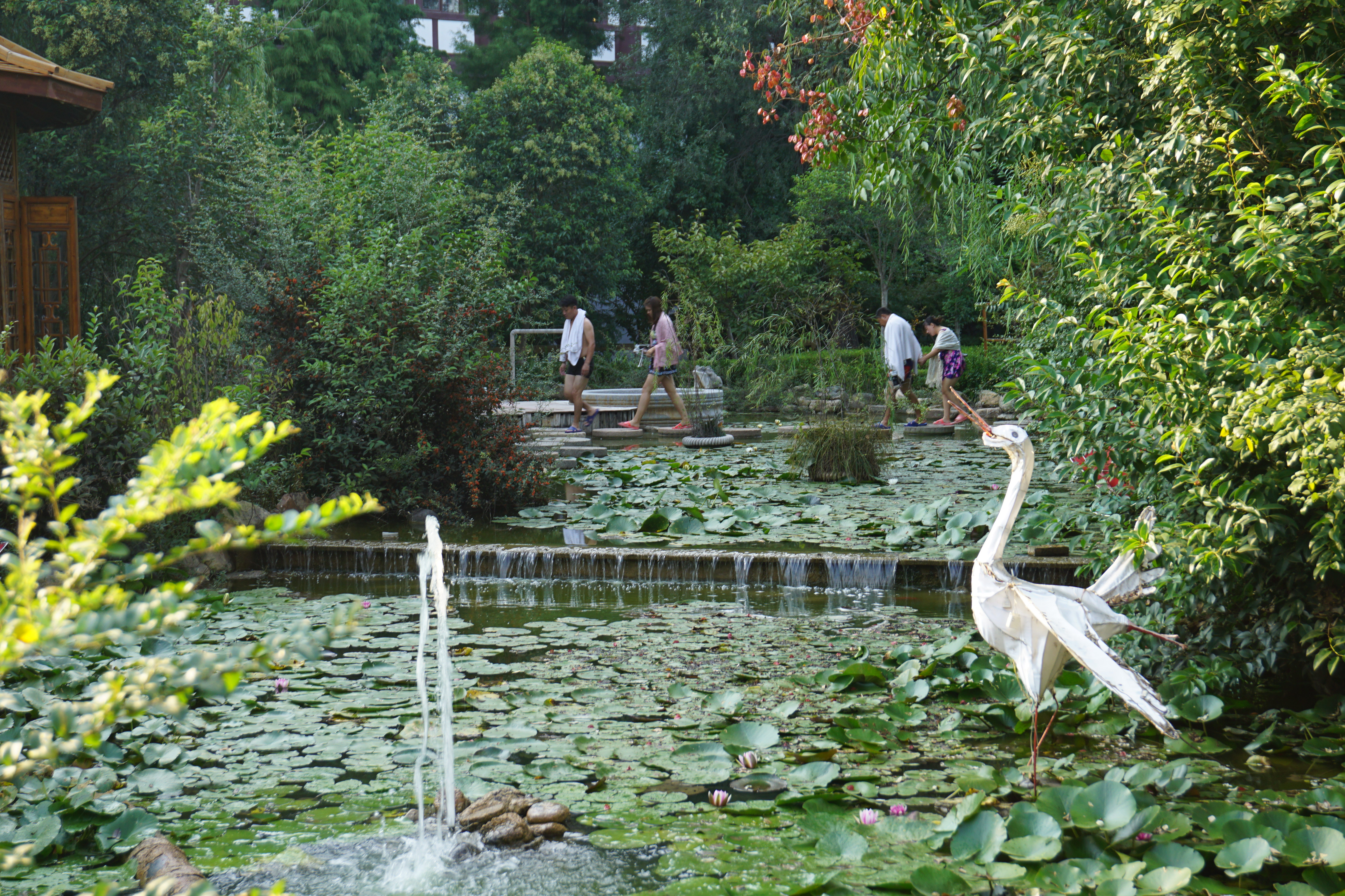 疫情过后一定要去西双版纳,疫情过后一定要来苏州喝奶茶