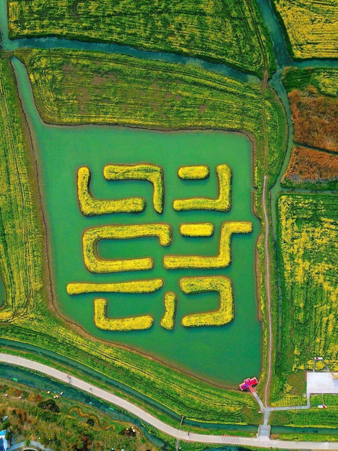 高邮吃咸鸭蛋,咸鸭蛋高邮