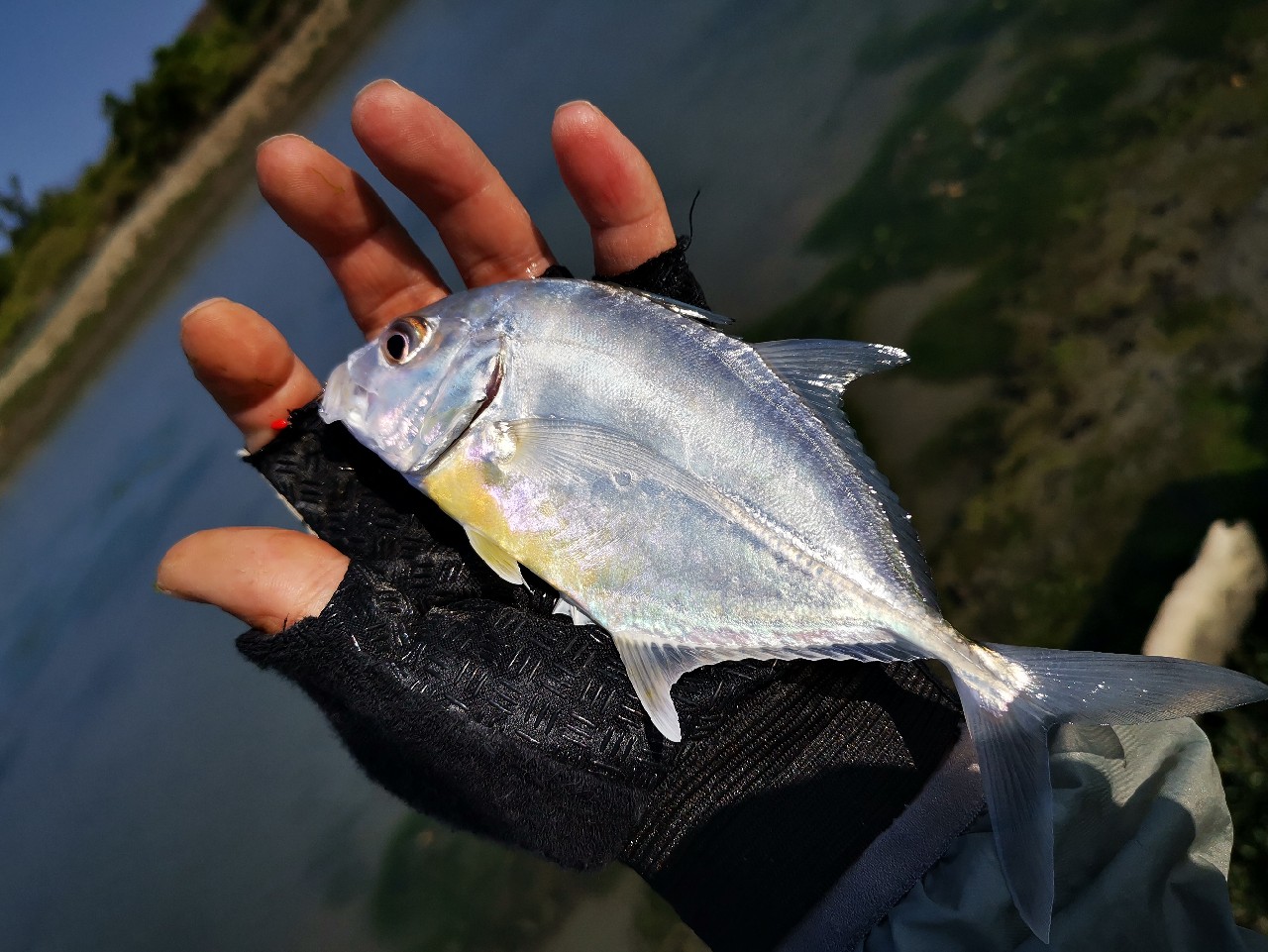 路亚一步到位还是循序渐进好,摸索反思