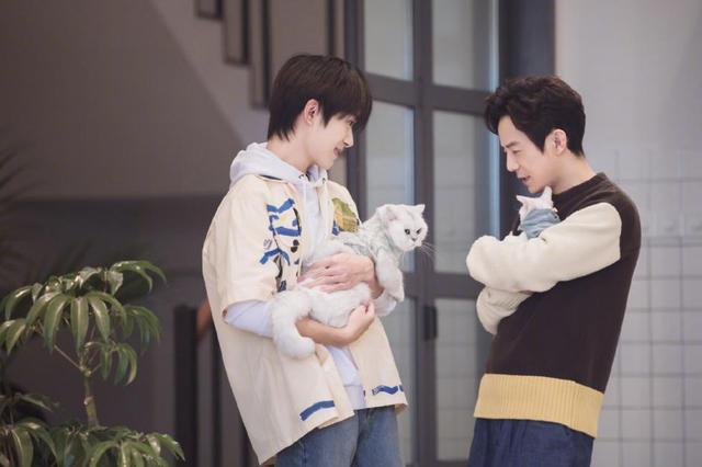 五分钟懒人蛋糕做法何炅,何炅双皮奶教程煮多长时间