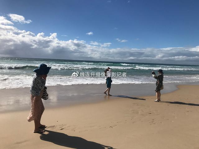 魏连升河南,魏连升摄影摄像记者