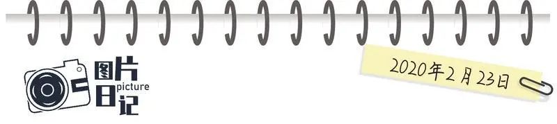 非常时期深圳的图片,非常深圳